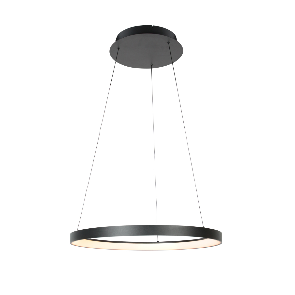 Suspension ronde noire avec LED puissante Steinhauer Ringlede – Image 2